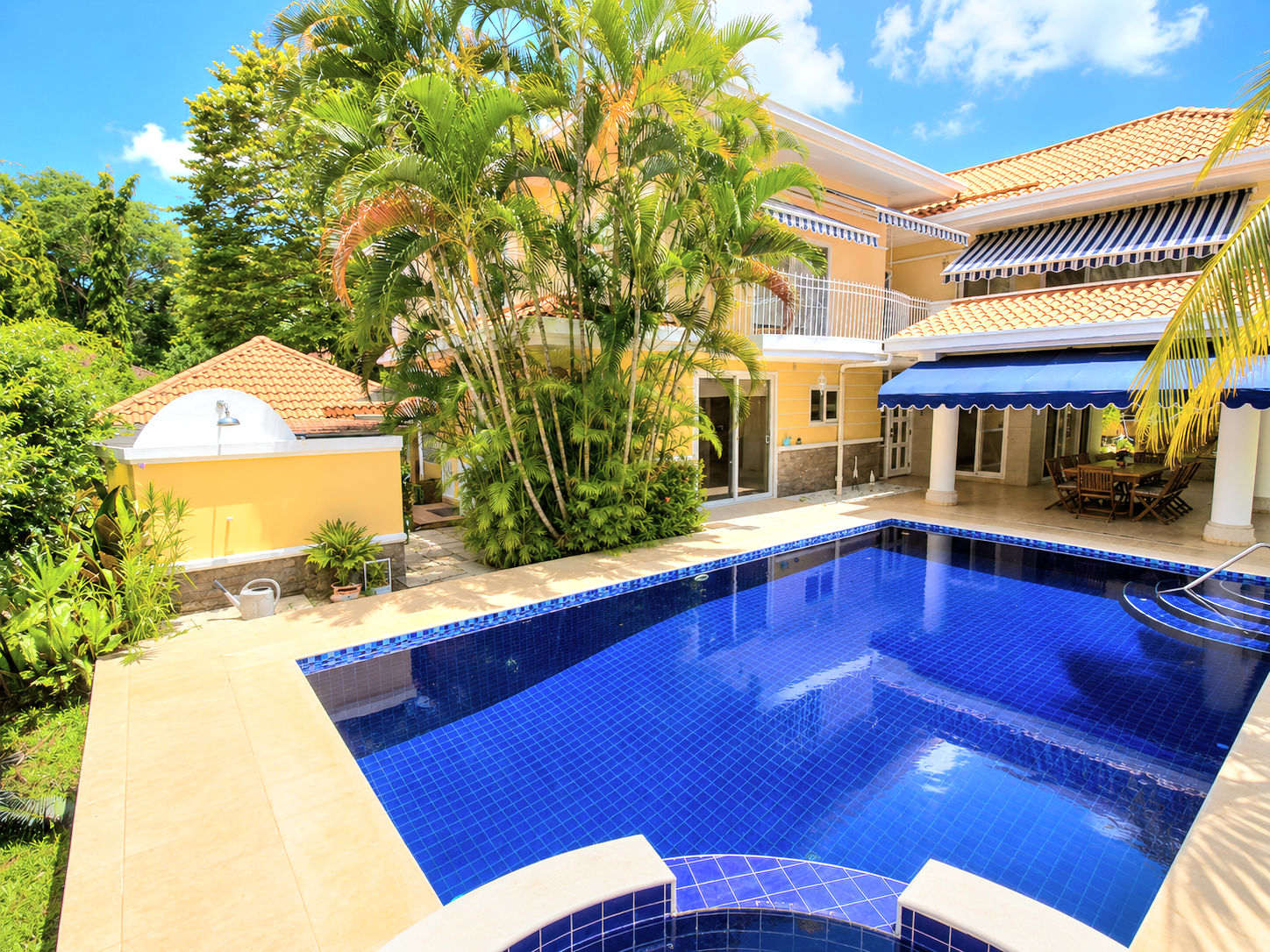 Private pool and jacuzzi