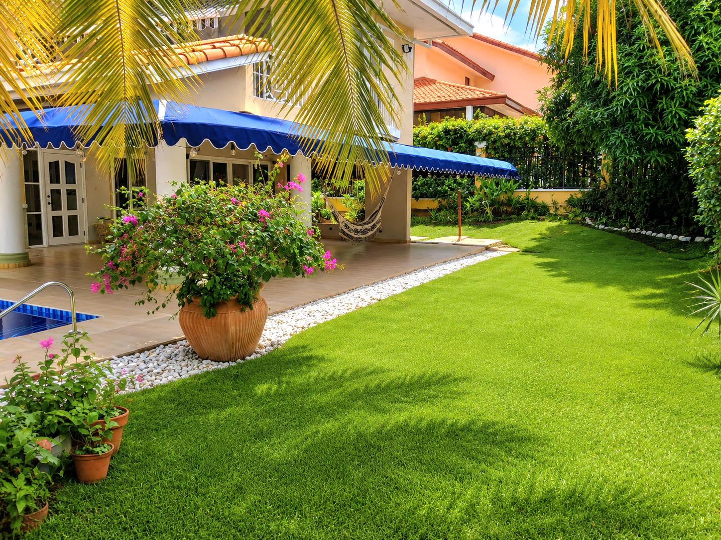 Private lawn and tropical garden